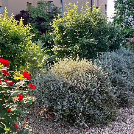 Casa Stucky Bed & Breakfast Udine Exterior foto