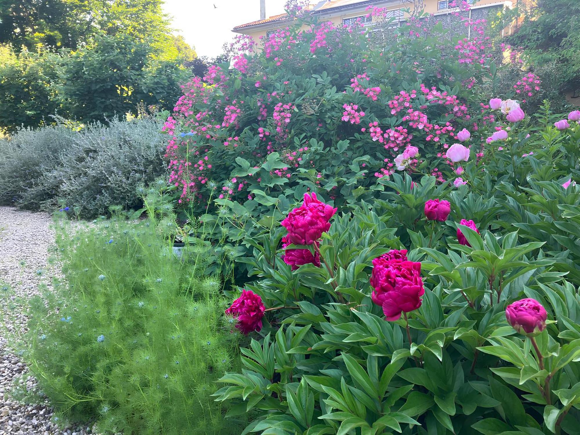 Casa Stucky Bed & Breakfast Udine Exterior foto