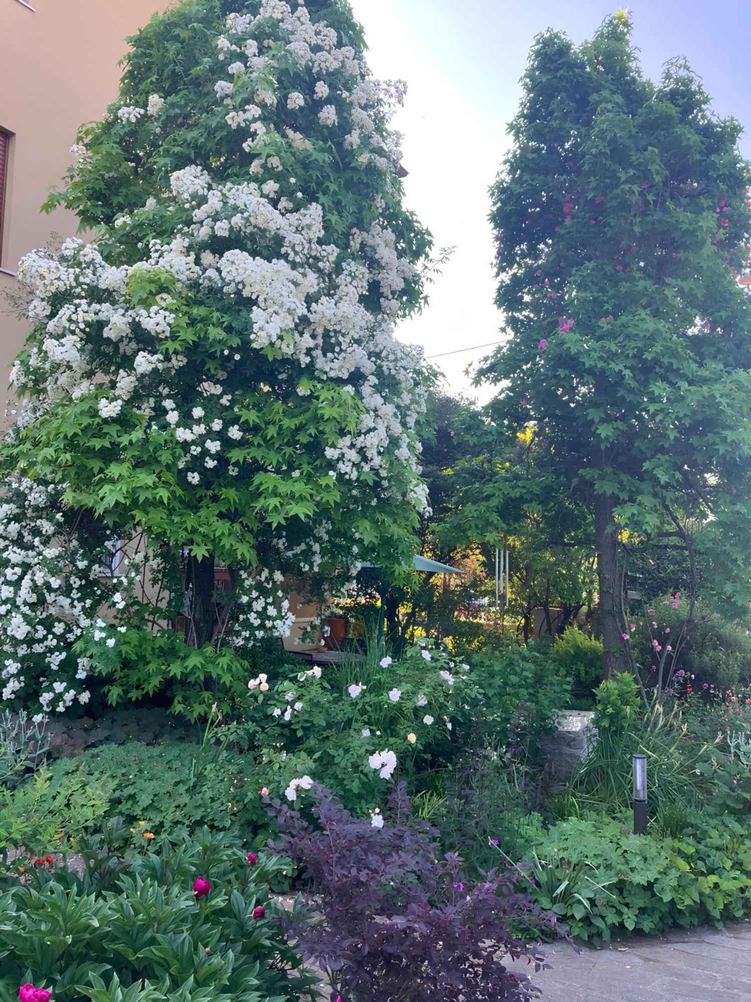 Casa Stucky Bed & Breakfast Udine Exterior foto